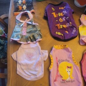 Cute Dog Apparel Set